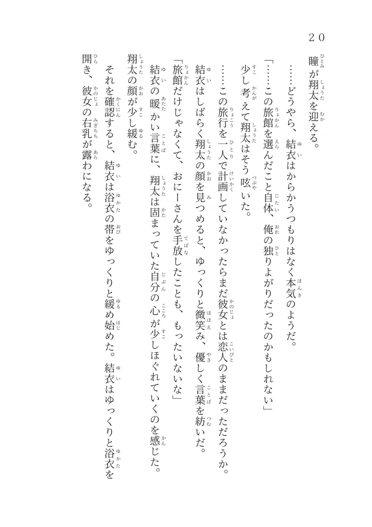同人誌：『共鳴する孤独』のサンプル2