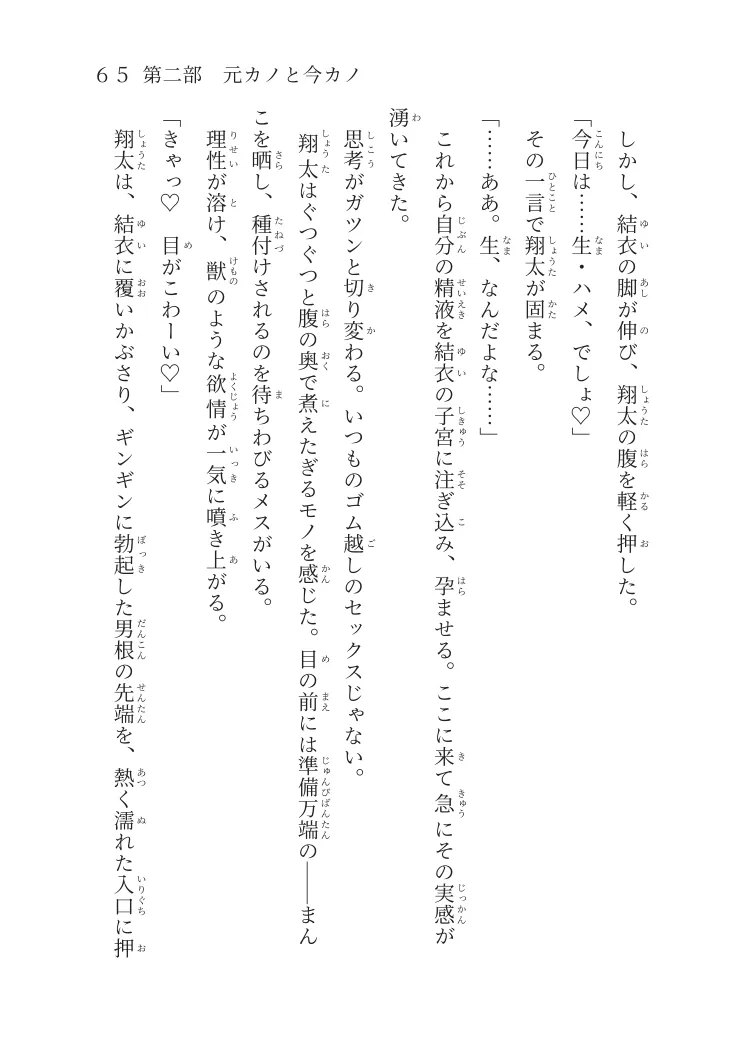 同人誌：『共鳴する孤独』のサンプル4